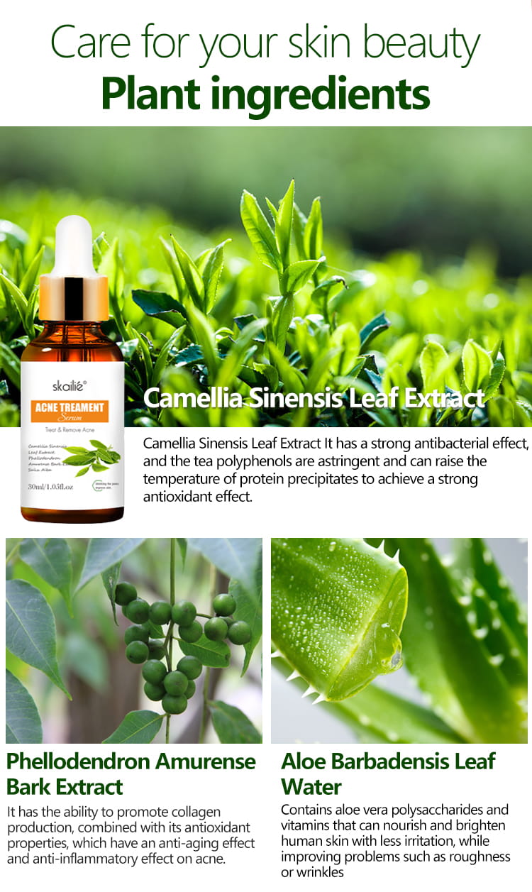 Sérum de traitement de l'acné à l'arbre à thé